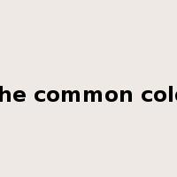 the common cold是什么意思