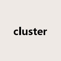 cluster是什么意思