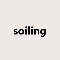 soiling是什么意思