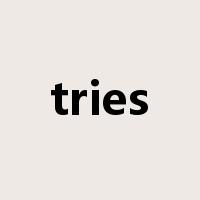 tries是什么意思