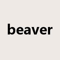 beaver是什么意思