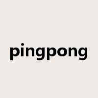 pingpong是什么意思