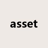 asset是什么意思