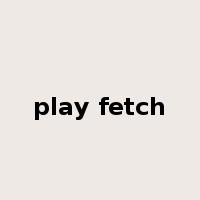 play fetch是什么意思