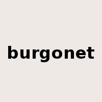 burgonet是什么意思
