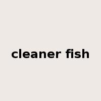 cleaner fish是什么意思