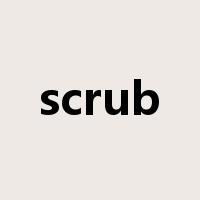 scrub是什么意思