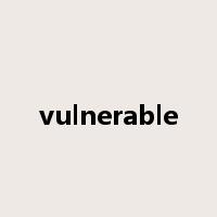 vulnerable是什么意思