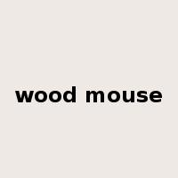 wood mouse是什么意思