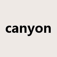 canyon是什么意思