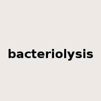 bacteriolysis是什么意思