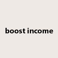 boost income是什么意思