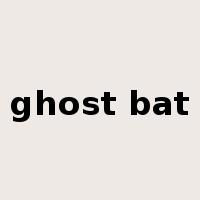 ghost bat是什么意思