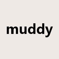 muddy是什么意思