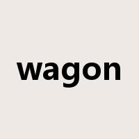 wagon是什么意思