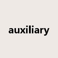 auxiliary是什么意思