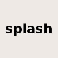 splash是什么意思
