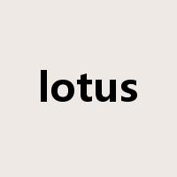 lotus是什么意思