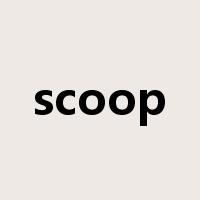 scoop是什么意思