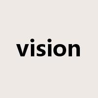 vision是什么意思