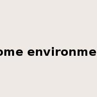 home environment是什么意思