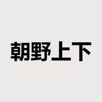 朝野上下是什么意思