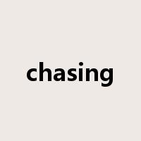 chasing是什么意思