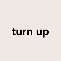 turn up是什么意思