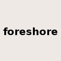 foreshore是什么意思