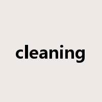 cleaning是什么意思