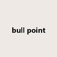 bull point是什么意思