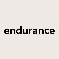 endurance是什么意思