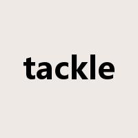 tackle是什么意思