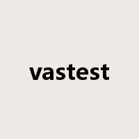 vastest是什么意思