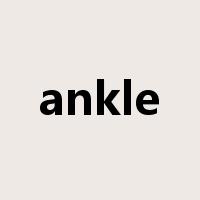 ankle是什么意思