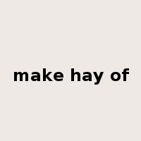 make hay of是什么意思