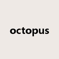 octopus是什么意思