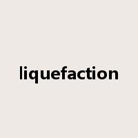 liquefaction是什么意思