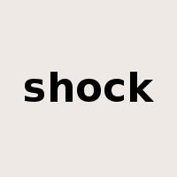 shock是什么意思