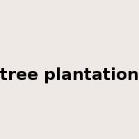 tree plantation是什么意思