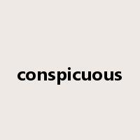 conspicuous是什么意思
