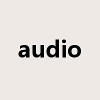 audio是什么意思