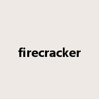 firecracker是什么意思