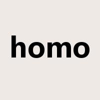 homo是什么意思