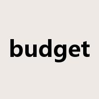 budget是什么意思