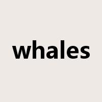 whales是什么意思