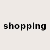 shopping是什么意思