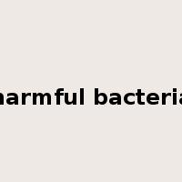 harmful bacteria是什么意思