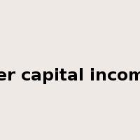 per capital income是什么意思