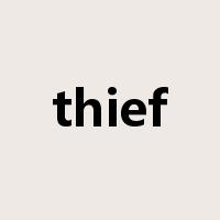 thief是什么意思